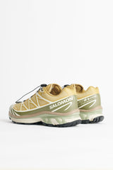 Salomon XT-6 GTX Antelope / Icicle / Portabella