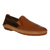 Dorian F1172