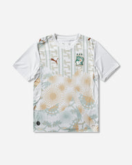 Men's Côte d'Ivoire 2026 Away Jersey White / Warm Chestnut