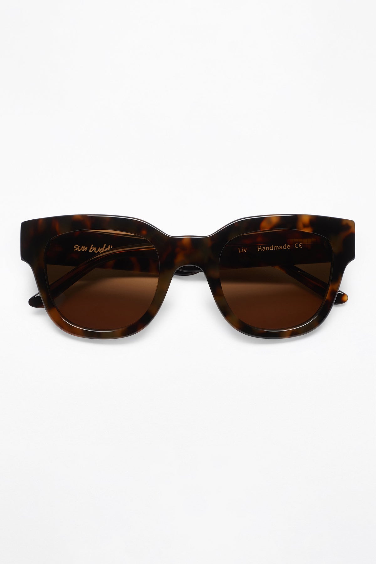 Sun Buddies Liv Tortoise