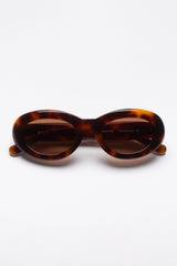 Sun Buddies Courtney Tortoise